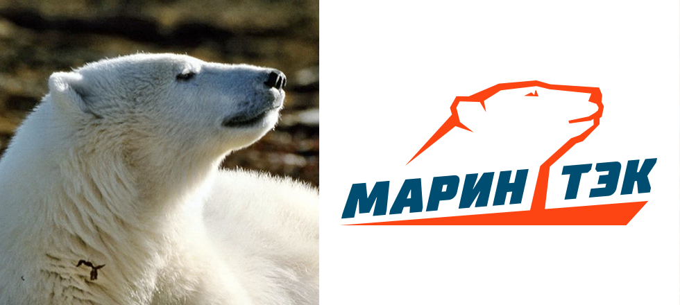 Брендинг транспортной компании